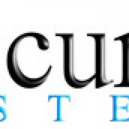 Logo da AccurIT Systems