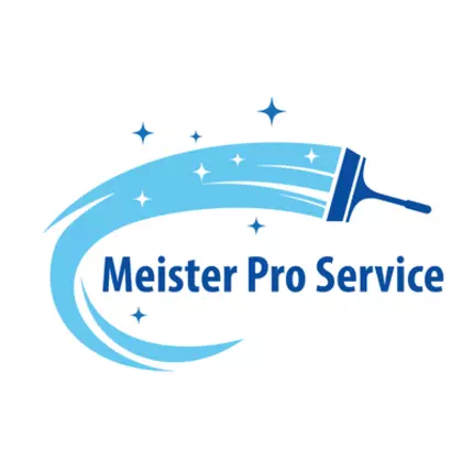 Logo from Meister Pro Service Ionut Anchidin