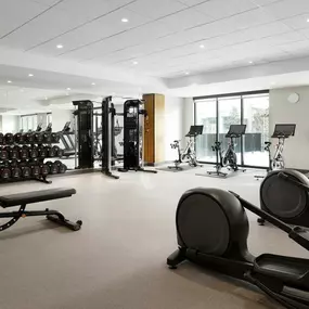 Health club  fitness center  gym