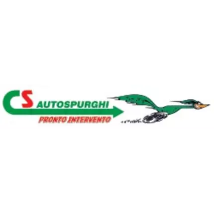 Logo fra C.S. autospurghi