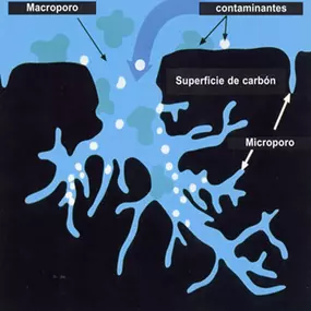 Bild von Agua bienestar y salud