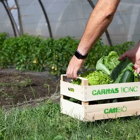 Bild von Azienda Agricola CATIBIO di Caritas Ticino