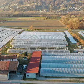 Bild von Azienda Agricola CATIBIO di Caritas Ticino