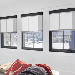 Experience versatile light control with double roller shades from GrandView Blinds & Design. Featuring both light-filtering and blackout options, these shades are perfect for managing privacy and ambiance in any room.