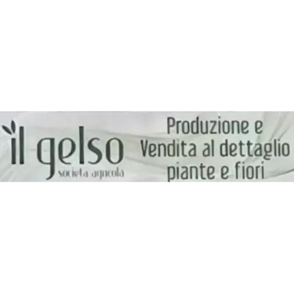 Logo from Societa' Agricola Il Gelso