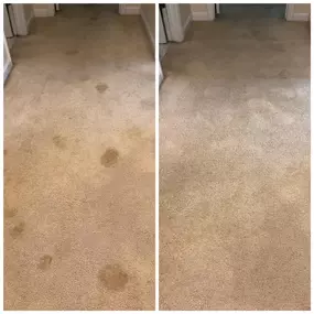 Starr Cleaning Service Carpet
cleaning Phoenix AZ