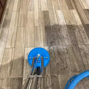 Carpet
cleaning Mesa AZ
