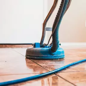 Carpet
cleaning Phoenix