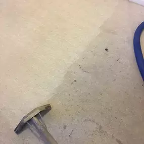 Carpet cleaning