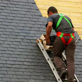 Bild von Guardian Roofs