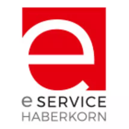 Logo from E-Service-Haberkorn GmbH