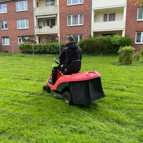 Bild von M & D Gebäudereinigung