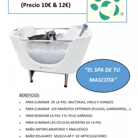 236157426-1-fkiimVSo9L1743441694093.png