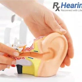 Bild von RxHearing | Top Hearing Aids Provider 2024