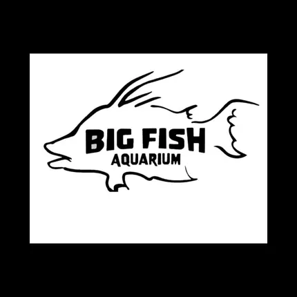 Logo fra Big Fish Aquarium