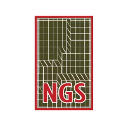 Logo from Next Gen Services Ltd.