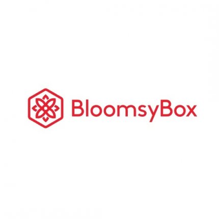 Logo from BloomsyBox