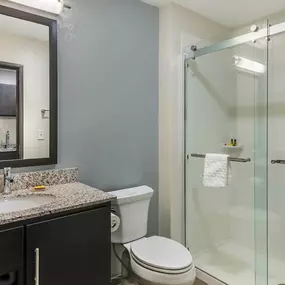 King Suite - Guest Bath