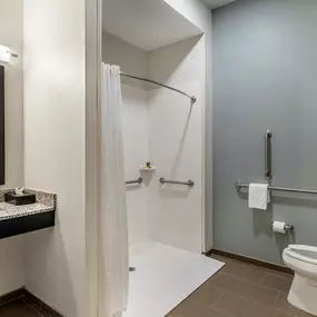 ADA Roll-in Shower