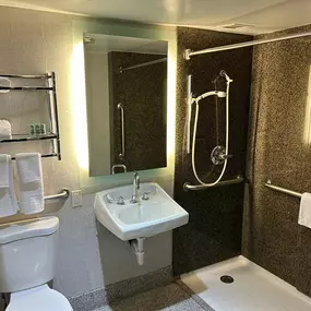 Mobility Accessible King Bathroom