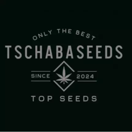 Λογότυπο από Tschabaseeds