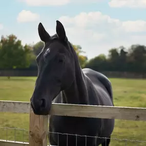 Bild von Stable View Barn