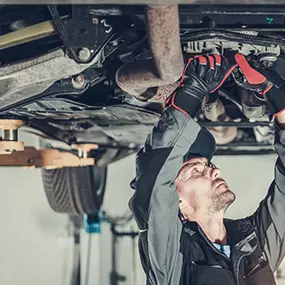 Bild von Ambrosia’s Automotive