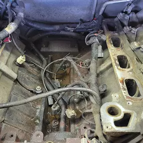 Bild von Ambrosia’s Automotive