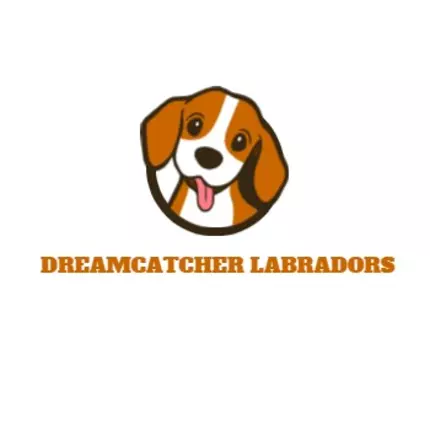 Logotipo de Dreamcatcher Labradors