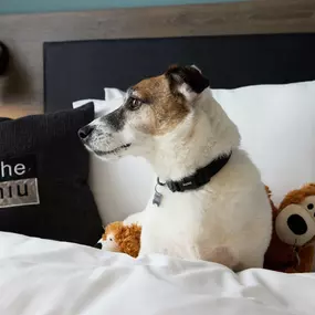 Bild von Holiday Inn - the niu, Loom Manchester North by IHG