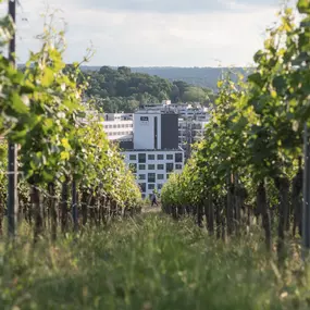 Bild von Holiday Inn - the niu, Form Stuttgart Feuerbach, an IHG Hotel