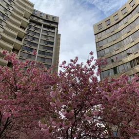 Apartment building