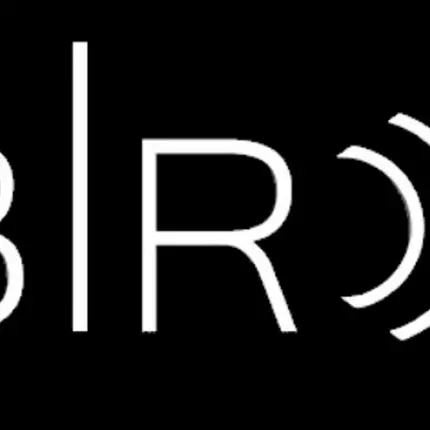 Logo from Bir Security Systems