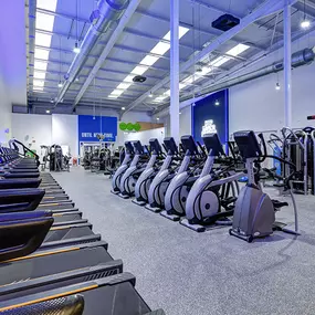 Cardio Machines