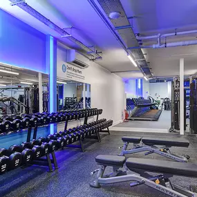 Free Weights Area