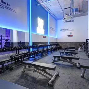 Free Weights Area