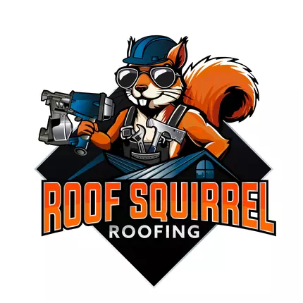 Logótipo de Roof Squirrel