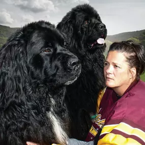 Bild von Blackwolf Newfoundlands