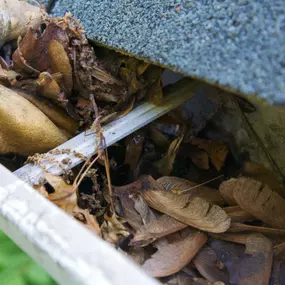 Our downspout cleaning services can help prevent soggy lawns and foundation damage.