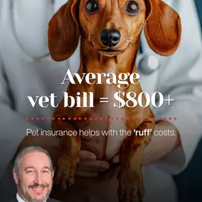 Your pet might chase squirrels for free, but surprise vet visits? Not the most budget-friendly. Pet insurance can help cover unexpected expenses, so you can focus on playtime, not price tags. From day one, my team's focus has been on delivering real value to our customers, ensuring that they leave feeling confident and accomplished with which policy they've chosen for their needs.