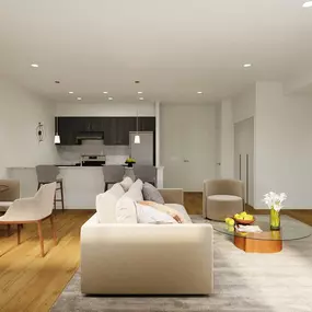 Apartment Living Room and Kitchen Area