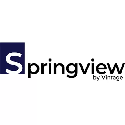 Logo da Springview by Vintage