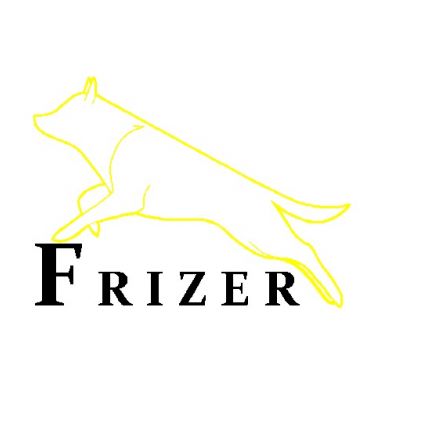 Logo da Frizer