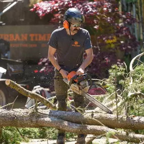 Bild von Urban Timber Tree Service Portland, Oregon | Tree Removal, Trimming & Cabling