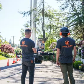 Bild von Urban Timber Tree Service Portland, Oregon | Tree Removal, Trimming & Cabling