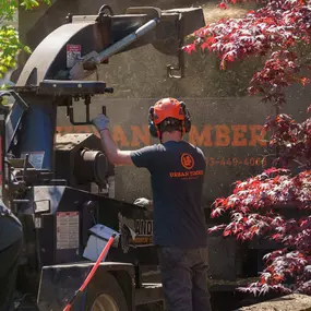 Bild von Urban Timber Tree Service Portland, Oregon | Tree Removal, Trimming & Cabling