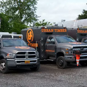 Bild von Urban Timber Tree Service