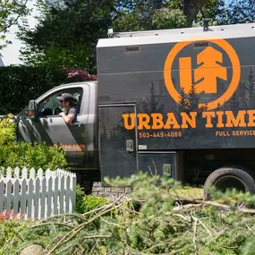 Bild von Urban Timber Tree Service