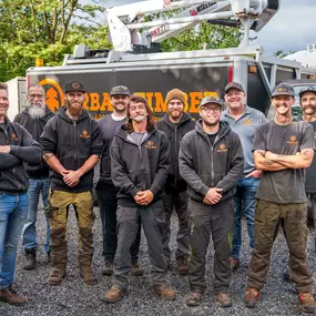 Bild von Urban Timber Tree Service