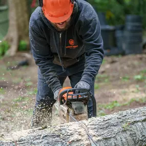 Bild von Urban Timber Tree Service